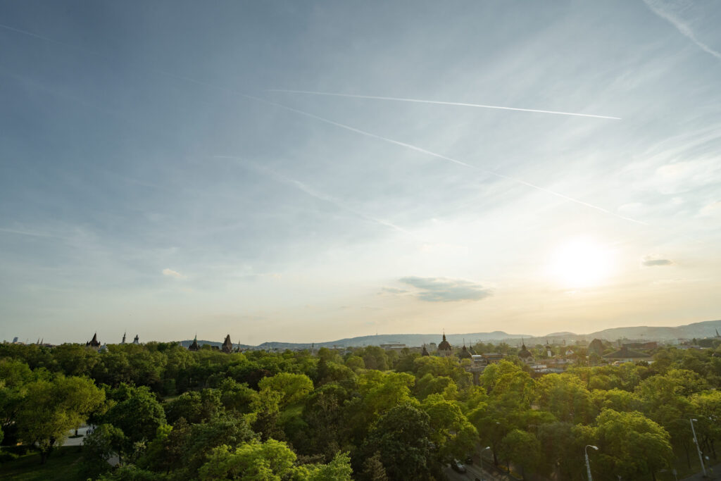 Citypark sunset